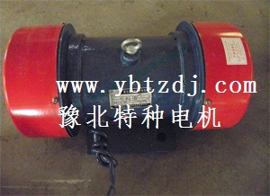 供應(yīng)YZS振動電機