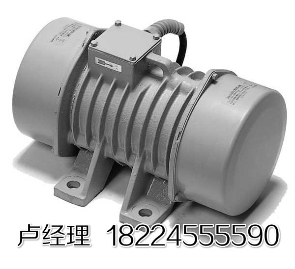 內(nèi)蒙古振動(dòng)電機(jī) 廣東振動(dòng)電機(jī) 遼寧振動(dòng)電機(jī)