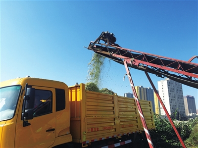 銀川擬建10處植物垃圾收集點(diǎn)枯枝敗葉將變寶貝